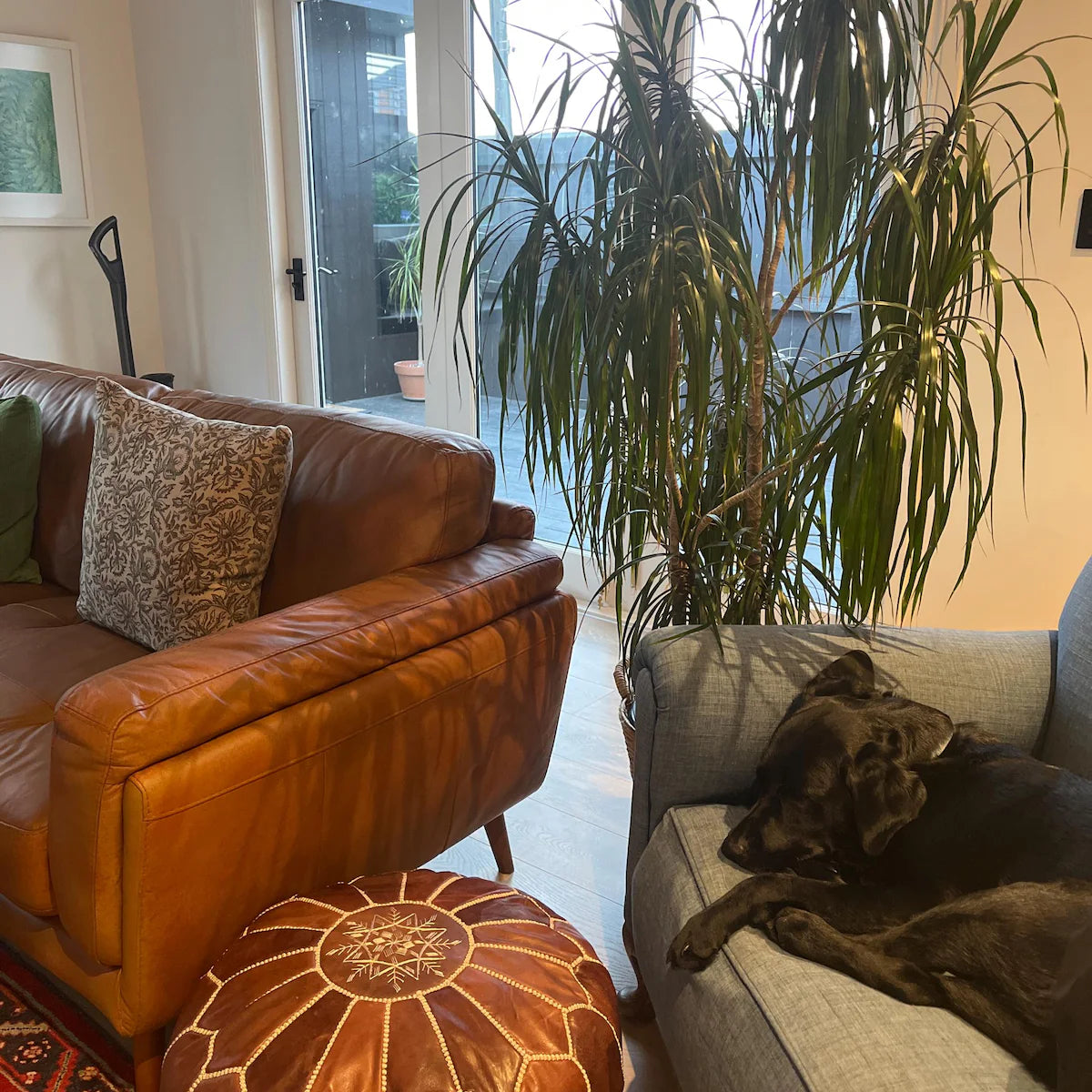 Majorelle Colour Leather Pouf — Shared view — genuine customer photograph